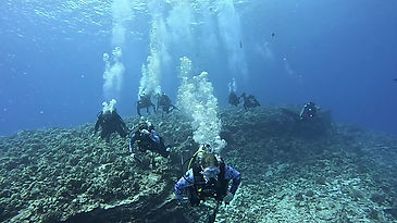 Scuba Diving Molokini Crater